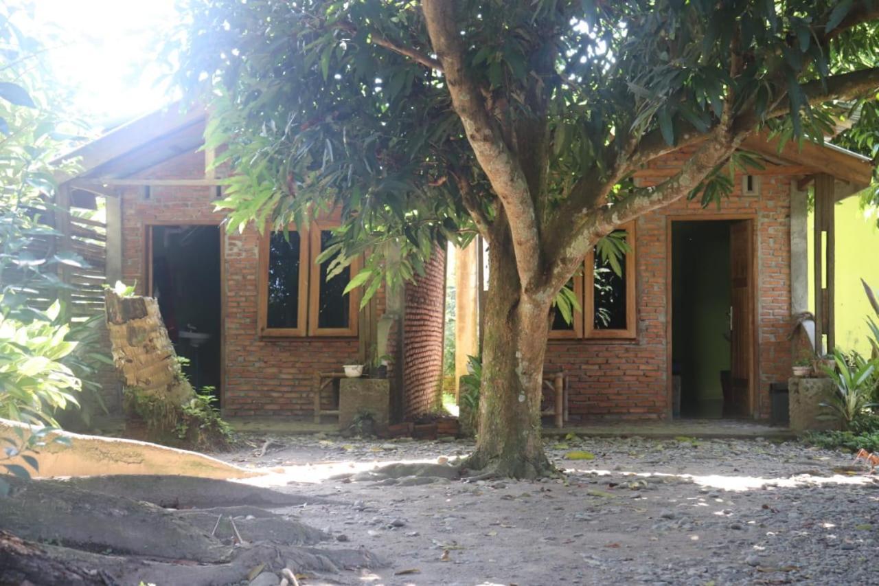 בוקיט לוואנג Jhony'S Backpacker-Guest House Only Stay Here Book Treking With Us מראה חיצוני תמונה
