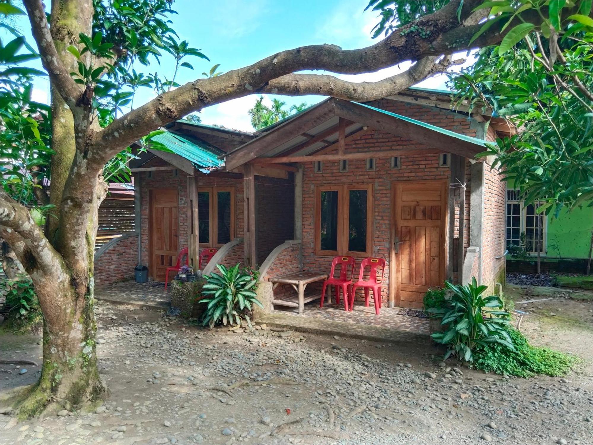 בוקיט לוואנג Jhony'S Backpacker-Guest House Only Stay Here Book Treking With Us מראה חיצוני תמונה
